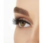 Ardell 3D Mega Volume Lashes 252